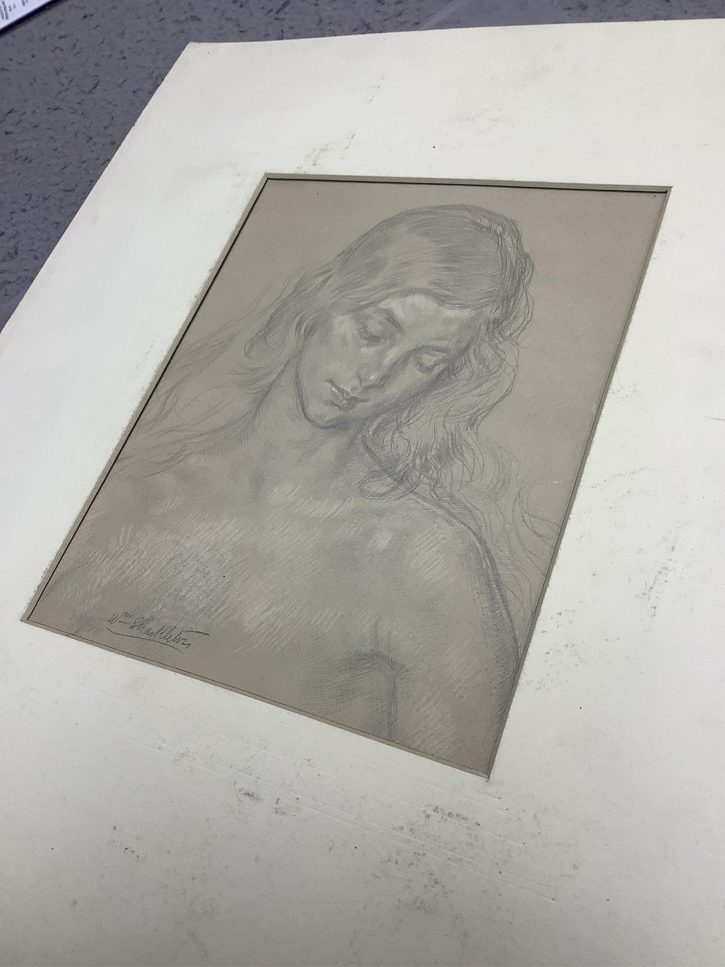 William Shackleton (British, 1872-1933), pencil heightened with white, Study of a young woman, signed, 24 x 19cm, unframed. Condition - good, laid down with a card mount.